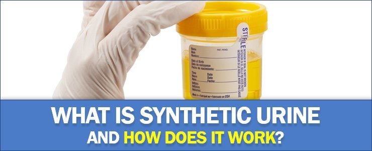 Heating Synthetic 
      Urine Paddock Lane Williamsburg VA